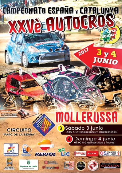 Cartel XXV Premi Ara Lleida