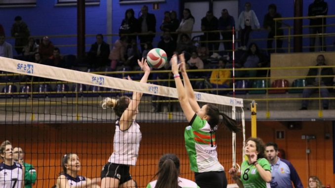 El Extremadura Arroyo buscará vencer mañana a Torrelavega y preparar su asalto al cuarto puesto en las últimas dos jornadas