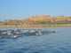 Extremadura y Portugal se unen por el Triatlón