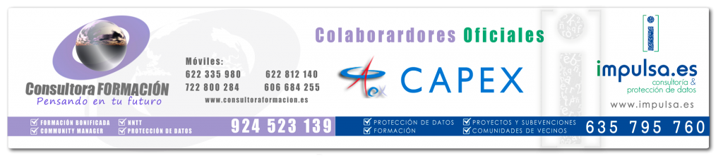 Faldón Capex-Consultora---Impulsa Colaboradores