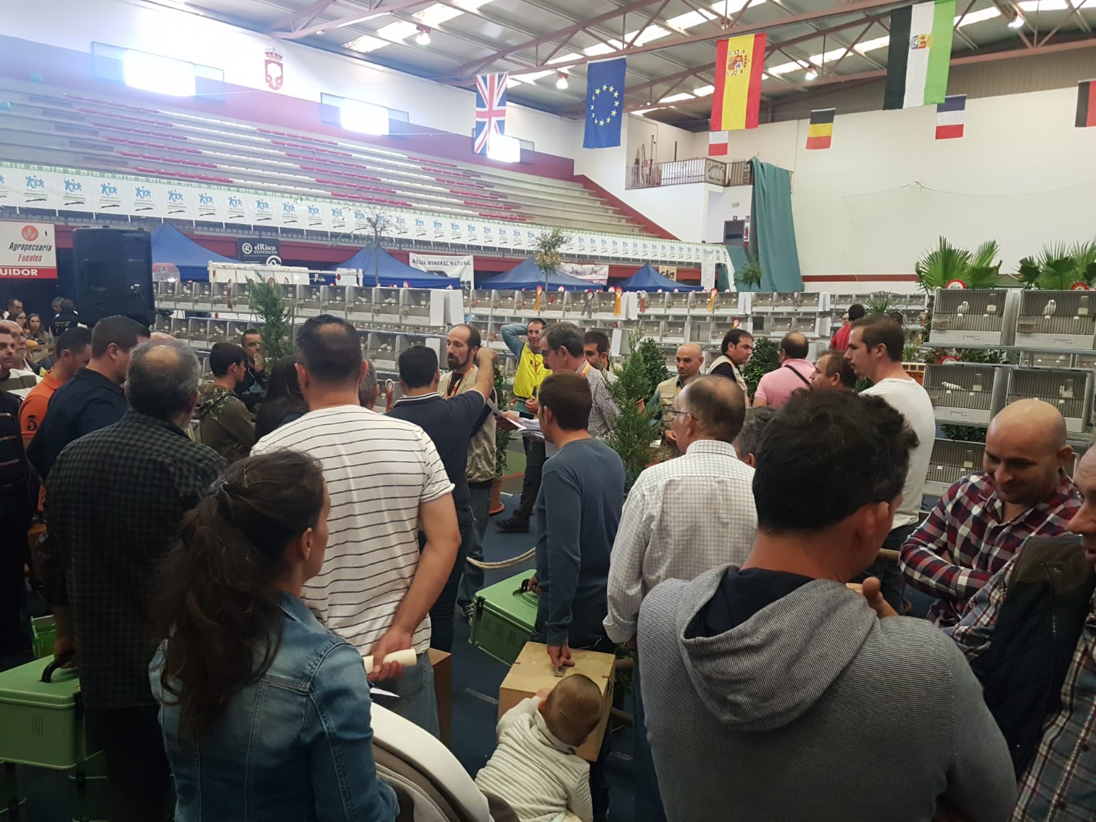 III Internacional de Ornitología del Oeste 'Ciudad de Alburquerque' III Internacional de Ornitología del Oeste 'Ciudad de Alburquerque'