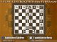 II Edición del Torneo Ajedrez Sin Barreras en la AAVV Santa Isabel de Badajoz
