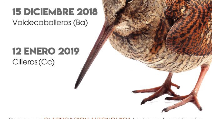 El Campeonato de Extremadura de Becadas se celebra con una doble prueba puntuable en Valdecaballeros y Cilleros