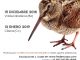 El Campeonato de Extremadura de Becadas se celebra con una doble prueba puntuable en Valdecaballeros y Cilleros