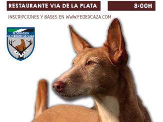 El Campeonato de Extemadura de Trabajo para Podenco Andaluz y Maneto se celebrará el 30 de marzo en Mérida