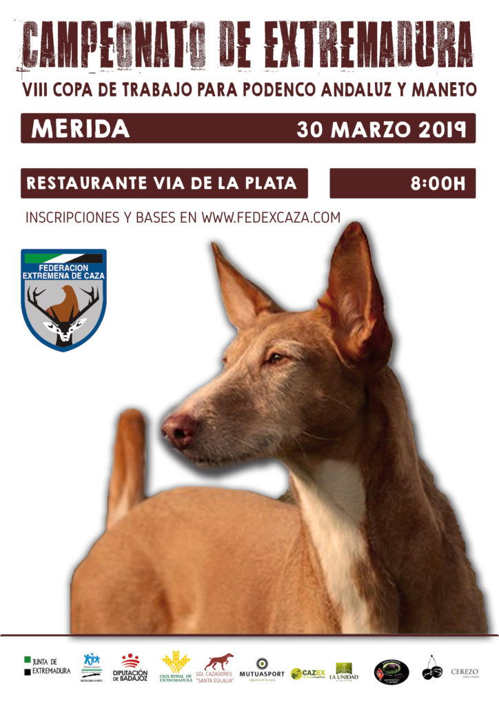 El Campeonato de Extemadura de Trabajo para Podenco Andaluz y Maneto se celebrará el 30 de marzo en Mérida
