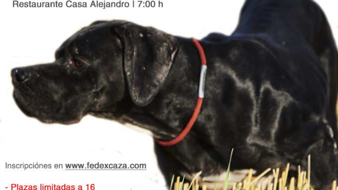 Abierto el plazo de inscripción para la III Copa FEDEXCAZA de San Huberto