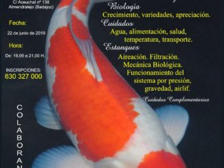 Ponencia sobre la carpa KOI en Almendralejo sábado 22-Junio-2019