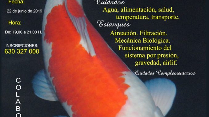 Ponencia sobre la carpa KOI en Almendralejo sábado 22-Junio-2019