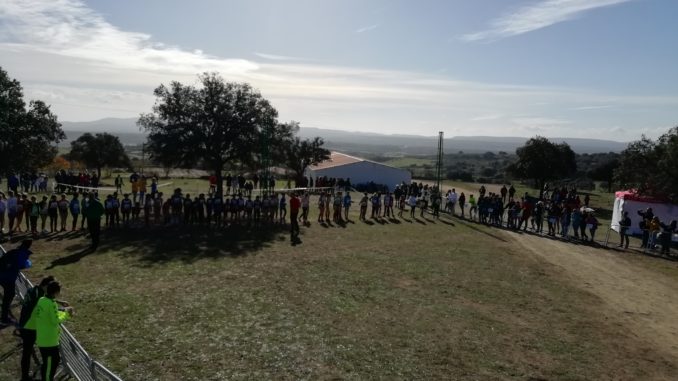 Espectáculo en la Dehesa Boyal torrejoncillana