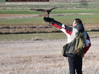 El Campeonato de Extremadura de Cetrería se celebrará los días 18 y 19 de enero en Llerena