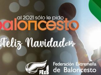 Feliz Navidad - 1500x500