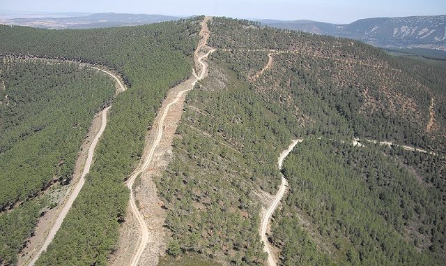 monte
