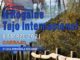 CARTEL_II_ROGAINE_TAJO_INTERNACIONAL_2021-scaled