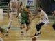 Real Murcia Baloncesto