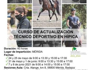 Curso_caballos