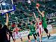 Cáceres Basket- Levitec Huesca