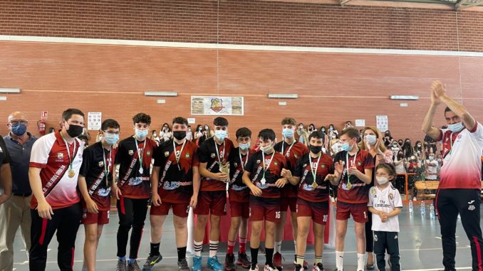 AD. Ribera del Fresno Voleibol