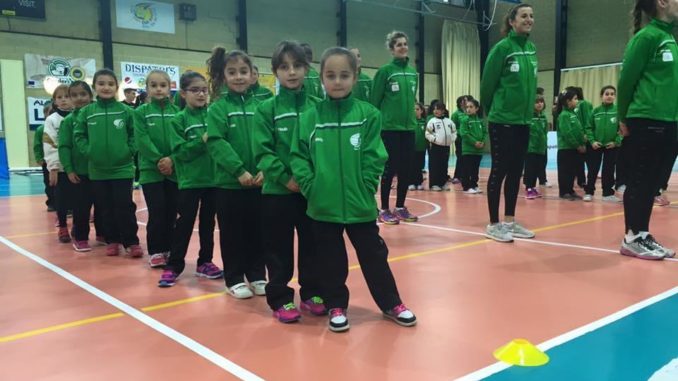 Gala cantera